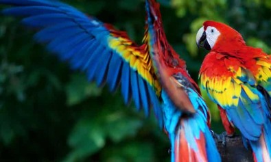 rem-ipsa-possimus-laudantium-optio-vel-quia-labore